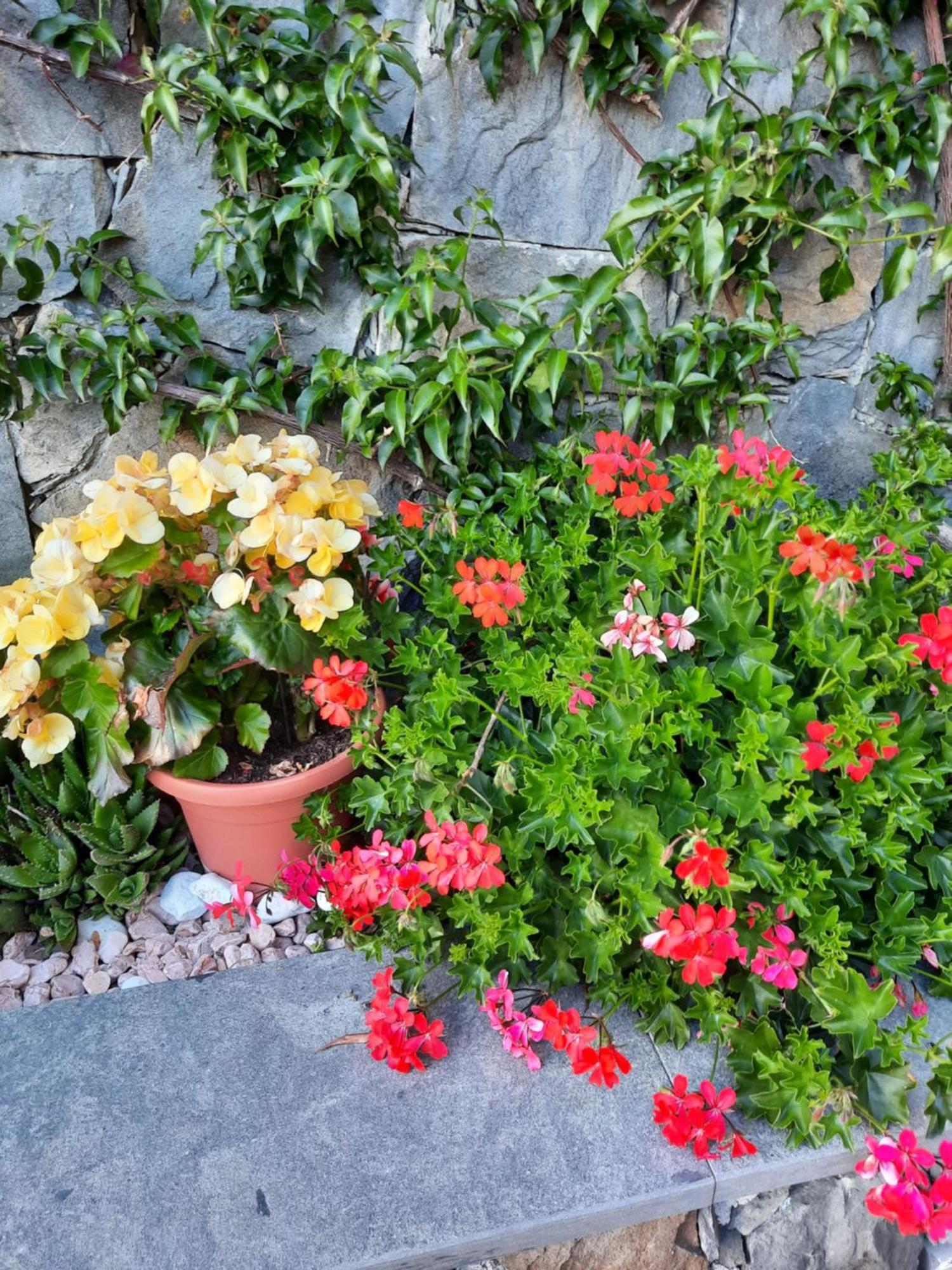 B&B Vignola Levanto Kültér fotó