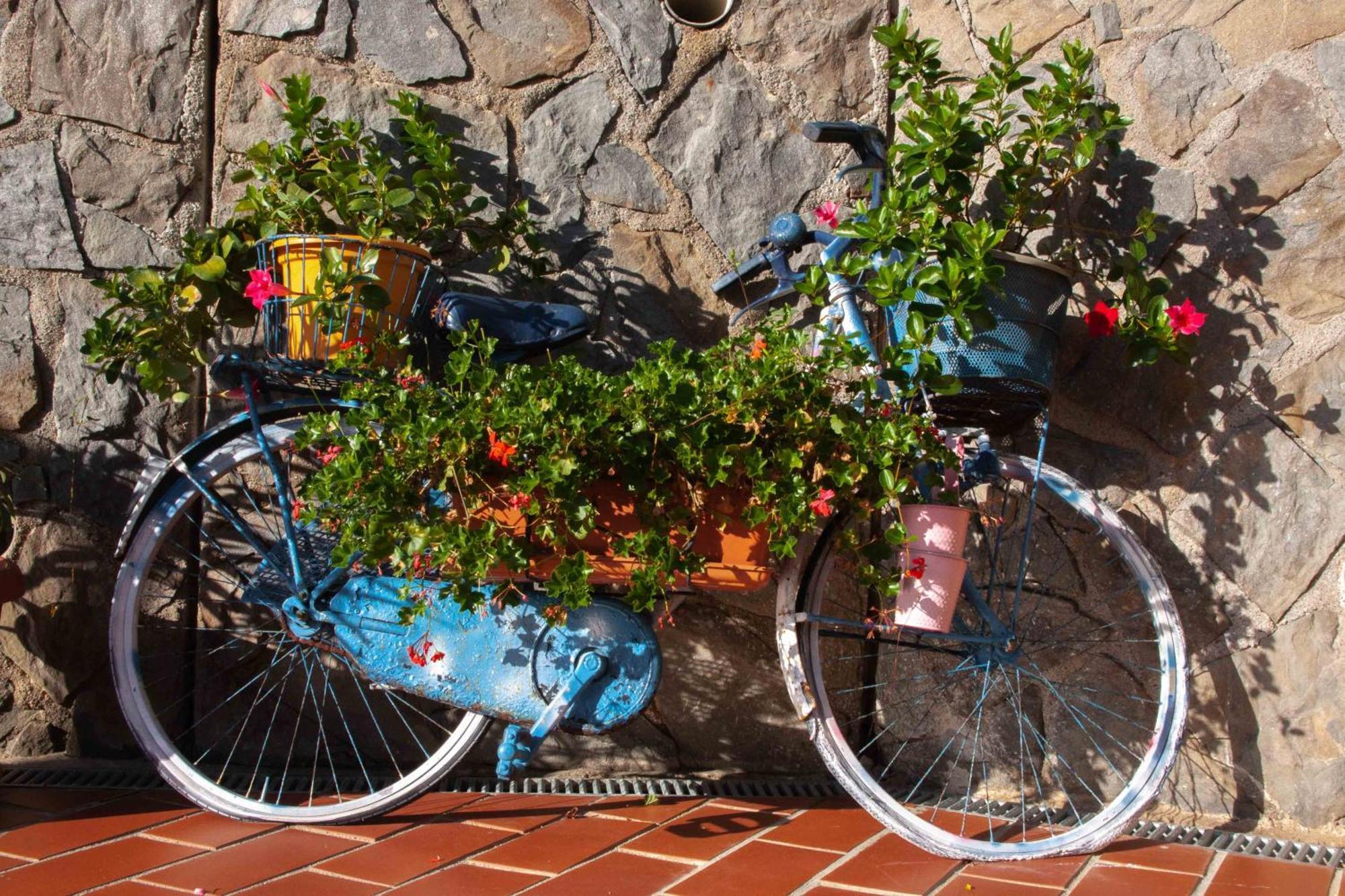 B&B Vignola Levanto Kültér fotó